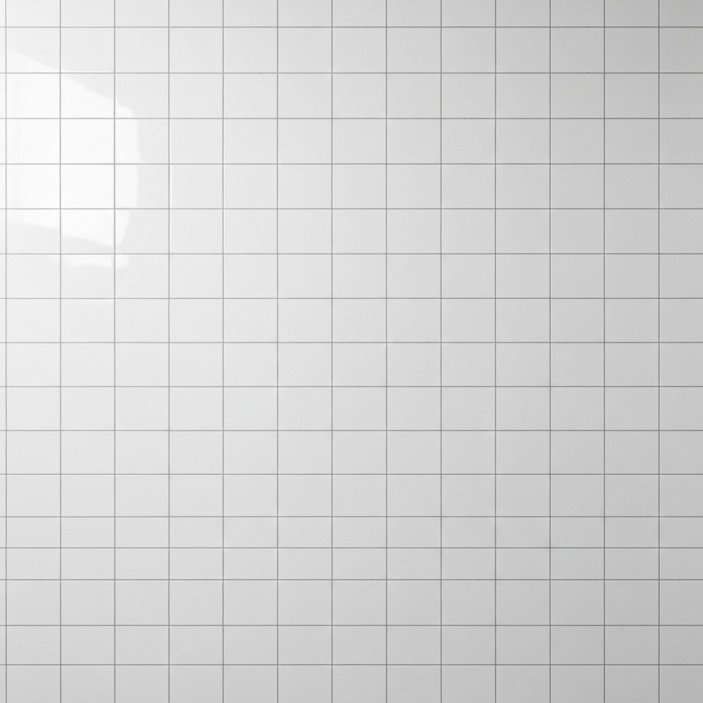 Shower Wall & Shampoo Box